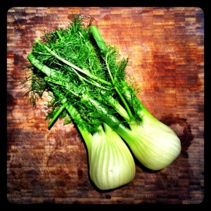 Fennel
