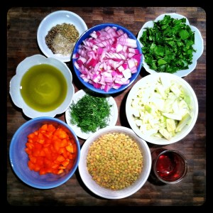 Fennel Lentil and Sausage Ingredients
